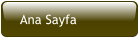 Ana Sayfa