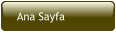 Ana Sayfa