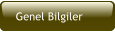 Genel Bilgiler