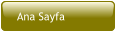 Ana Sayfa
