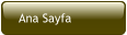 Ana Sayfa