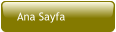 Ana Sayfa
