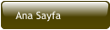 Ana Sayfa