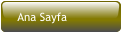 Ana Sayfa