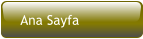 Ana Sayfa
