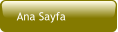 Ana Sayfa